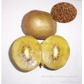 All Kinds Of Kiwi fruit seeds Chinese gooseberry Seeds For Sale